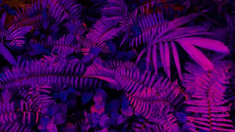 wallhaven-3lxk13-abstract.jpg