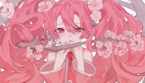 945506-anime.jpg