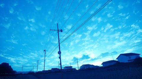 121822562-illustration.png