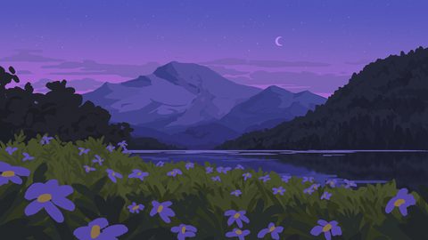 c28c99eb_original-illustration.jpg