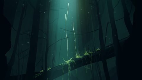 gracile-23-illustration.jpg