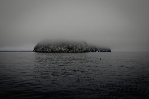 denys-nevozhai-WTvb8_gAwys-unsplash-monochrome.jpg