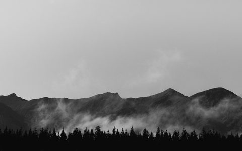 tyler-lastovich-hM08wZJBlK4-unsplash-monochrome.jpg