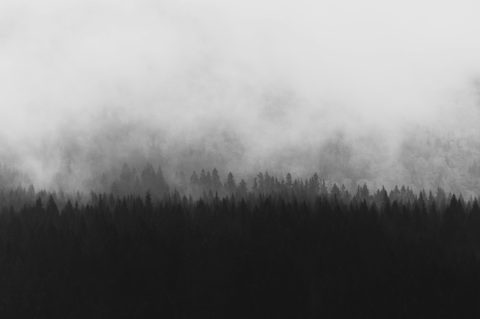 z-s-CdlDVEY6pcU-unsplash-monochrome.jpg
