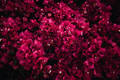 1687735301178655-nature.jpg