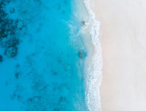 adam-najah-83fEeupZ50U-unsplash.jpg