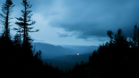 alexandre-croussette-gNoKBfnc6XA-unsplash-nature.jpg