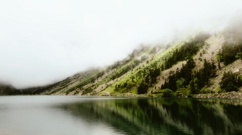 alin-gavriliuc-Xe_Pg7pi_NI-unsplash.jpg