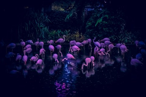 anatoliy-gromov-rrSTWhUY8T8-unsplash-nature.jpg