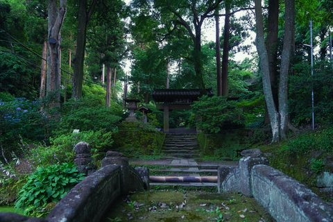 ayumi-kubo-OioNZxkioIk-unsplash-nature.jpg