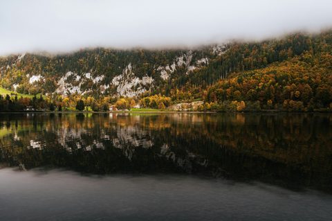 bastian-cimander-YbYiZAvEsKU-unsplash.jpg