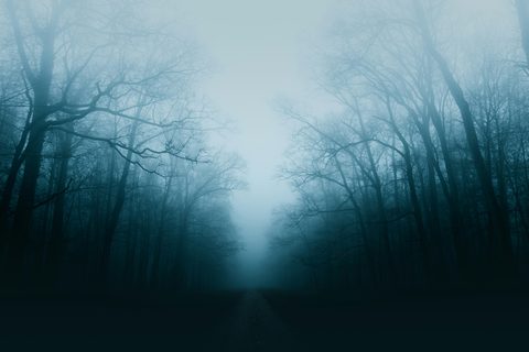 branimir-balogovic-puHRFLQhgUw-unsplash-nature.jpg