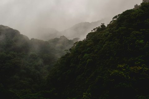 bruno-thethe-mGEabY8FldU-unsplash.jpg