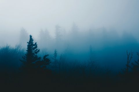 cole-keister-16YZRWdu9dM-unsplash-nature.jpg