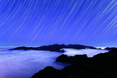 colin-watts-EpzoqfX57PQ-unsplash-nature.jpg