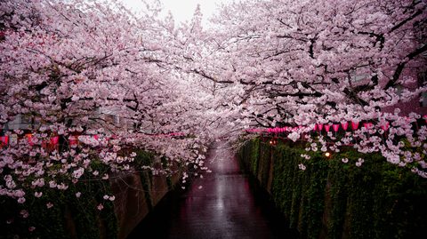 crystal-kay-7viWpO0fNss-unsplash-nature.jpg