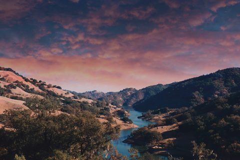 eleonora-patricola-E4VtWWra_cI-unsplash.jpg
