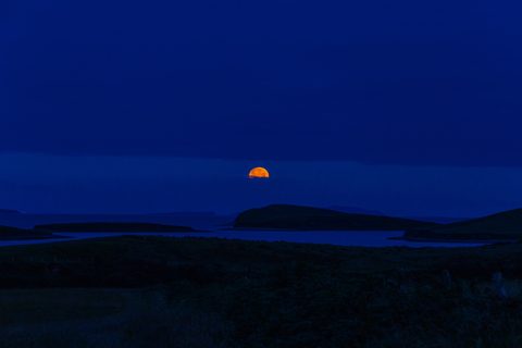 eleonore-bommart-rZSTfP6fDJY-unsplash-nature.jpg