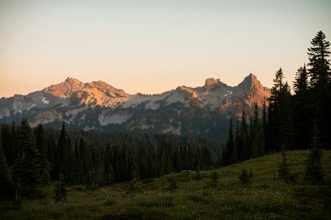 emma-swoboda-rJQZ1yYo-pg-unsplash-nature.jpg