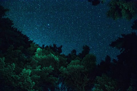 gabrielle-mustapich-IrETCrYmokI-unsplash-nature.jpg