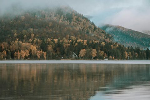 guillaume-techer-VhqYm4KwcZA-unsplash.jpg