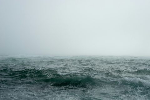 john-towner-FD_sabE544U-unsplash-nature.jpg