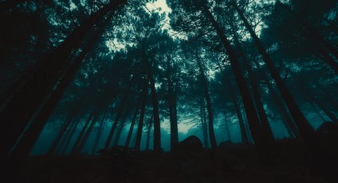jr-korpa-_OQ8Jc7kBmA-unsplash-nature.jpg