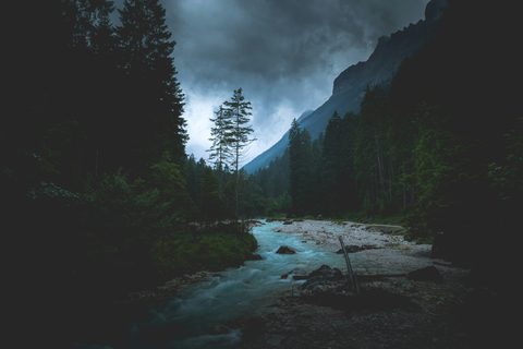 karsten-wurth-7BjhtdogU3A-unsplash-nature.jpg