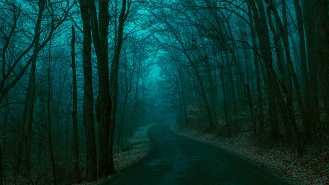 keagan-henman-vzH9QsCiaLA-unsplash-nature.jpg