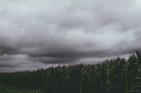 kelly-sikkema-aGtHpwWPlCw-unsplash-nature.jpg