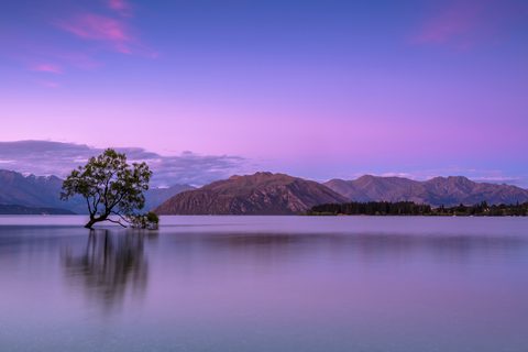 ken-cheung-KonWFWUaAuk-unsplash-nature.jpg