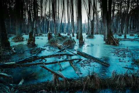 krystian-piatek-JUqXOPOYXEg-unsplash-nature.jpg