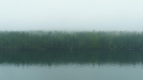 ky6heqs5mhre1-nature.jpeg