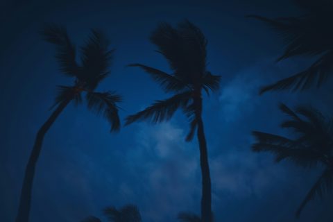 luca-bravo-ELvghLY85R0-unsplash-nature.jpg