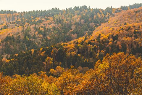 marco-amatulli-iqXa1FzJTLs-unsplash.jpg