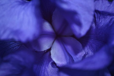 michael-c-Ofb4nzmv7uM-unsplash-nature.jpg