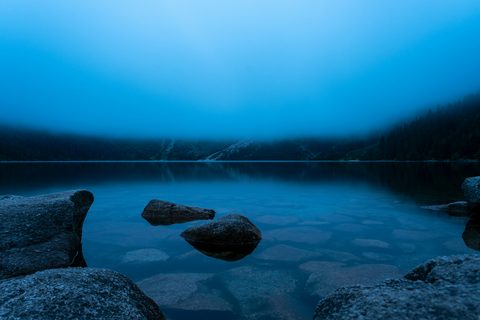 michael-kucharski-GSf2UBfZ14Y-unsplash-nature.jpg