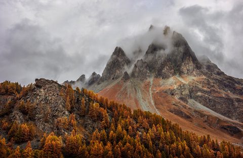 mountains-forest-autumn-foggy-peak-grisons-switzerland-5k-6000x3924-1038.jpg