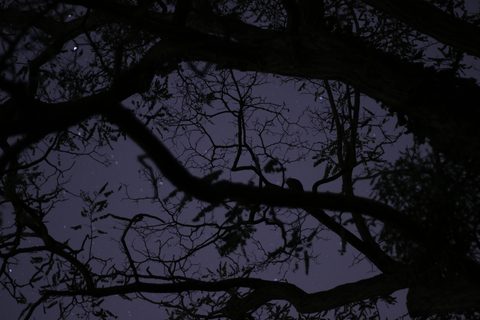 nicolas-saulnier-SY5zLhuc8yg-unsplash-nature.jpg