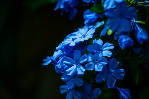 nicolo-caredda-6gANELT5suc-unsplash-nature.jpg