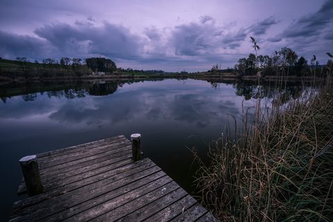 pascal-debrunner-xX12_90JHEg-unsplash-nature.jpg