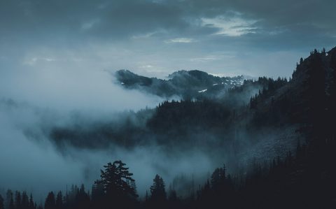 peter-lloyd-rRWyOn9gat4-unsplash.jpg