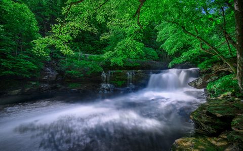 ppx-nature.jpg