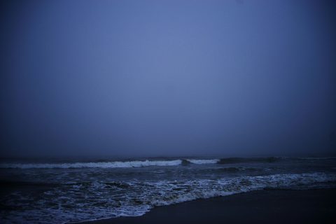 rachel-loughman-ePOXA9cwxac-unsplash-nature.jpg