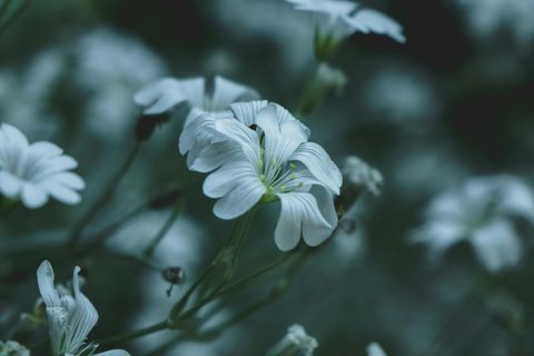 river-fx-CMXt9bjo1-w-unsplash-nature.jpg