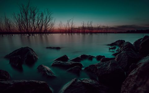 ryan-de-hamer-_OcCadtqex8-unsplash-nature.jpg