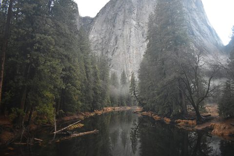 ryan-park-gyx7_6uR-Eg-unsplash.jpg
