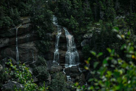 ryo-ito-RrGUhcDT9pg-unsplash.jpg