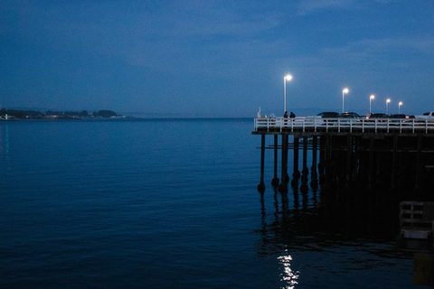 saira-ahmed--GlQbX9giE4-unsplash-nature.jpg