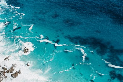 samsommer-J3ABLQjZQBg-unsplash-nature.jpg